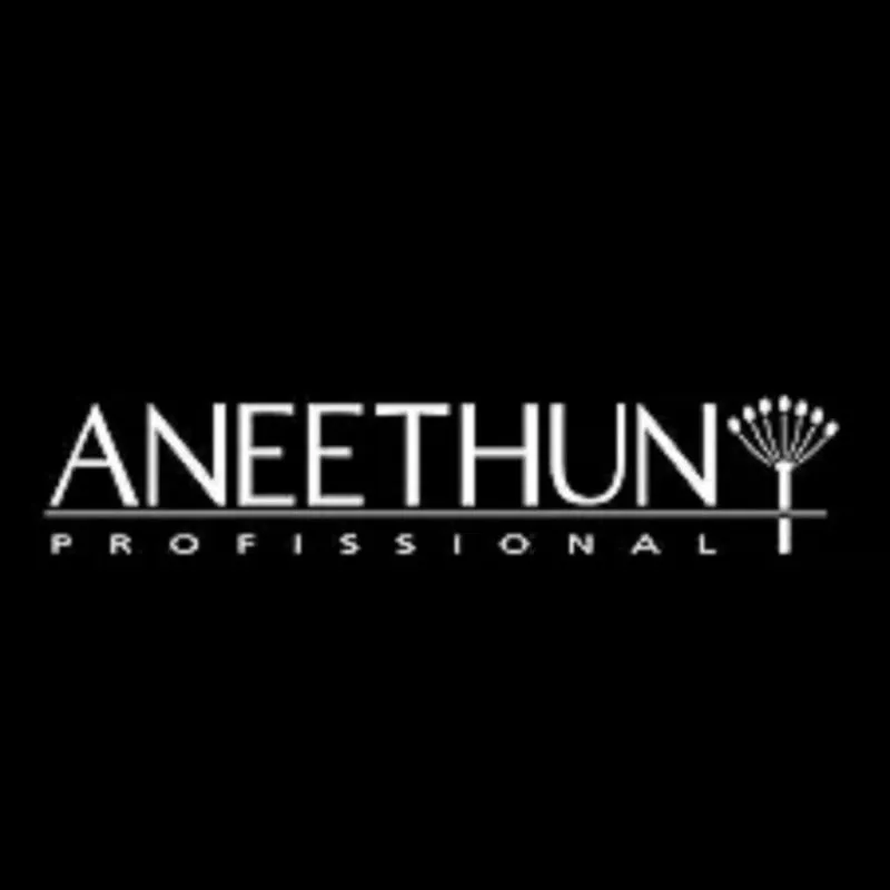 Aneethun